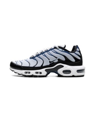 AIR MAX PLUS "Pure Platinum / Black"