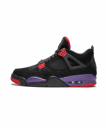 Air Jordan 4 "Raptors"